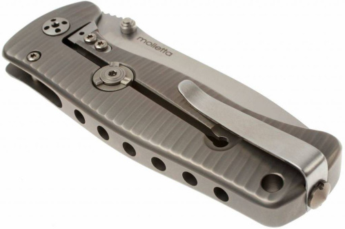 Складной нож Lion Steel SR2 G (GREY) Mini фото 16 Складной нож Lion Steel SR2 G (GREY) Mini фото 16