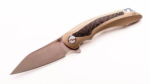 Складной нож Bestech Knives Pterodactyl BT1801C